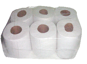 PAPEL HIG. 6 ROLLOS 100 MT. H/S TECNOROL