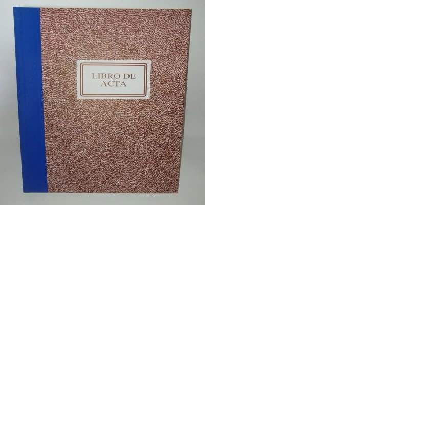 LIBRO ACTAS CUADRICULADO 400 HOJAS