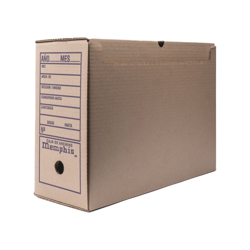 Caja de Archivo Memphis Intermedia