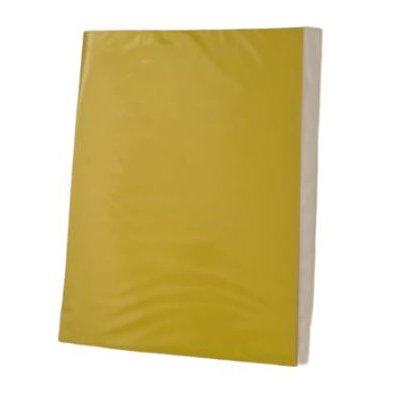 CARPETA PLASTIFICADA  AMARILLA