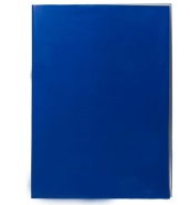 Carpeta Plastificada Azul