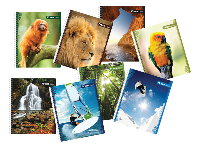 CUADERNO UNIV. E/D 100 HJ M7 TORRE CLASICO LITO.