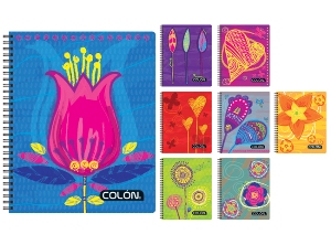 CUADERNO UNIV. E/D 100 HJ M7 COLON FEMINA