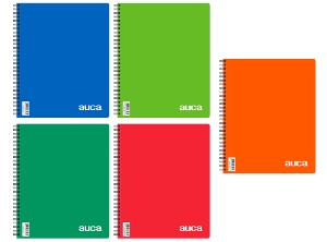 CUADERNO UNIV. E/S 100 HJ M5 AUCA LISO