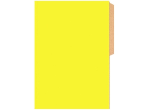 CARPETA CARTULINA PIG.BRILLANTE BUHO AMARILLO