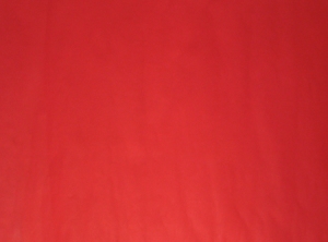 CARTULINA COLOR 53.5 X 77 ROJO HALLEY
