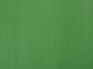 CARTULINA COLOR 53.5 X 77 VERDE CLARO HALLEY PRECIO X UNIDAD