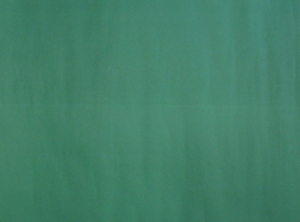 CARTULINA COLOR 53.5 X 77 VERDE OSCURO HALLEY PRECIO X UNIDAD