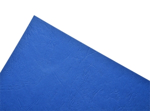 TAPA ENCUAD.CARTA DIAZOL MALMERO AZUL 100H