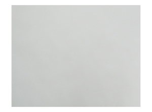 CARTULINA BLANCA 77X110 HALLEY