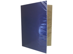 CARPETA PLASTIFICADA AZUL