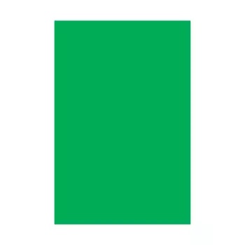 CARTULINA PINT.VERDE OSCURO 50X70CM 150GR.(100-300