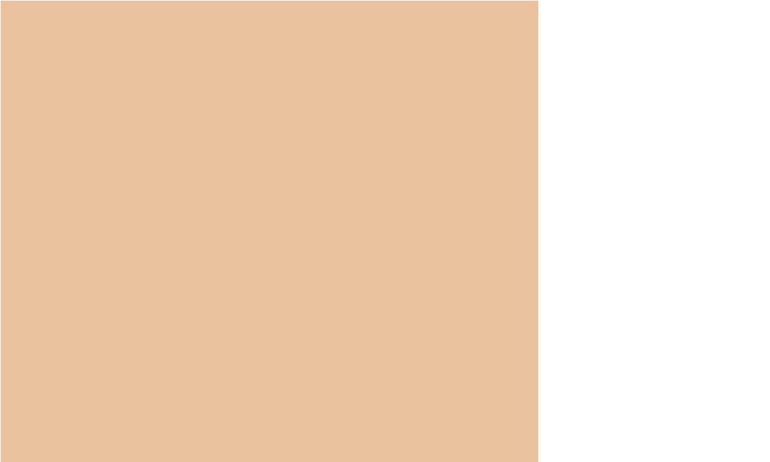 CARTULINA COLOR 53.5 X 75 X 1 BEIGE HALLEY