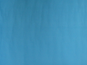 CARTULINA COLOR AZUL 53X75 ARTEL