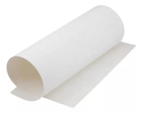 CARTON FORRADO PLIEGO 250 GRS 77X110 CM 10 UNIDADES