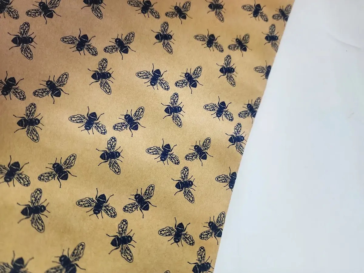 10 PLIEGOS PAPEL KRAFT CON DISENOS 76 X 100 CM/ 10 PLIEGOS
